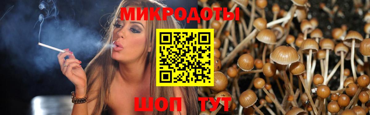 Псилоцибиновые грибы мицелий  Псилоцибиновые грибы Cubensis  цена наркотик  Волжск  Вход с VPN 
